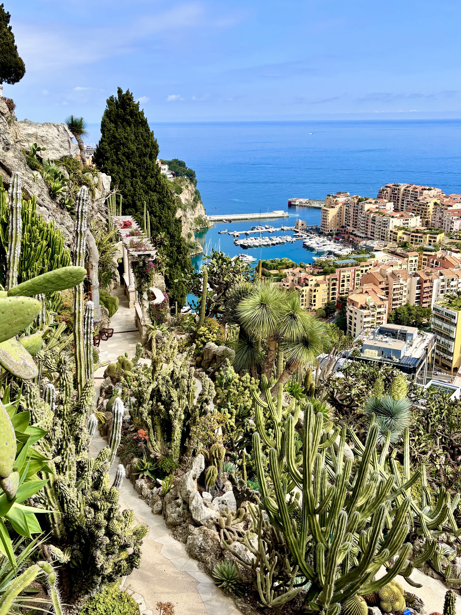 Jardin Exotique de Monaco
