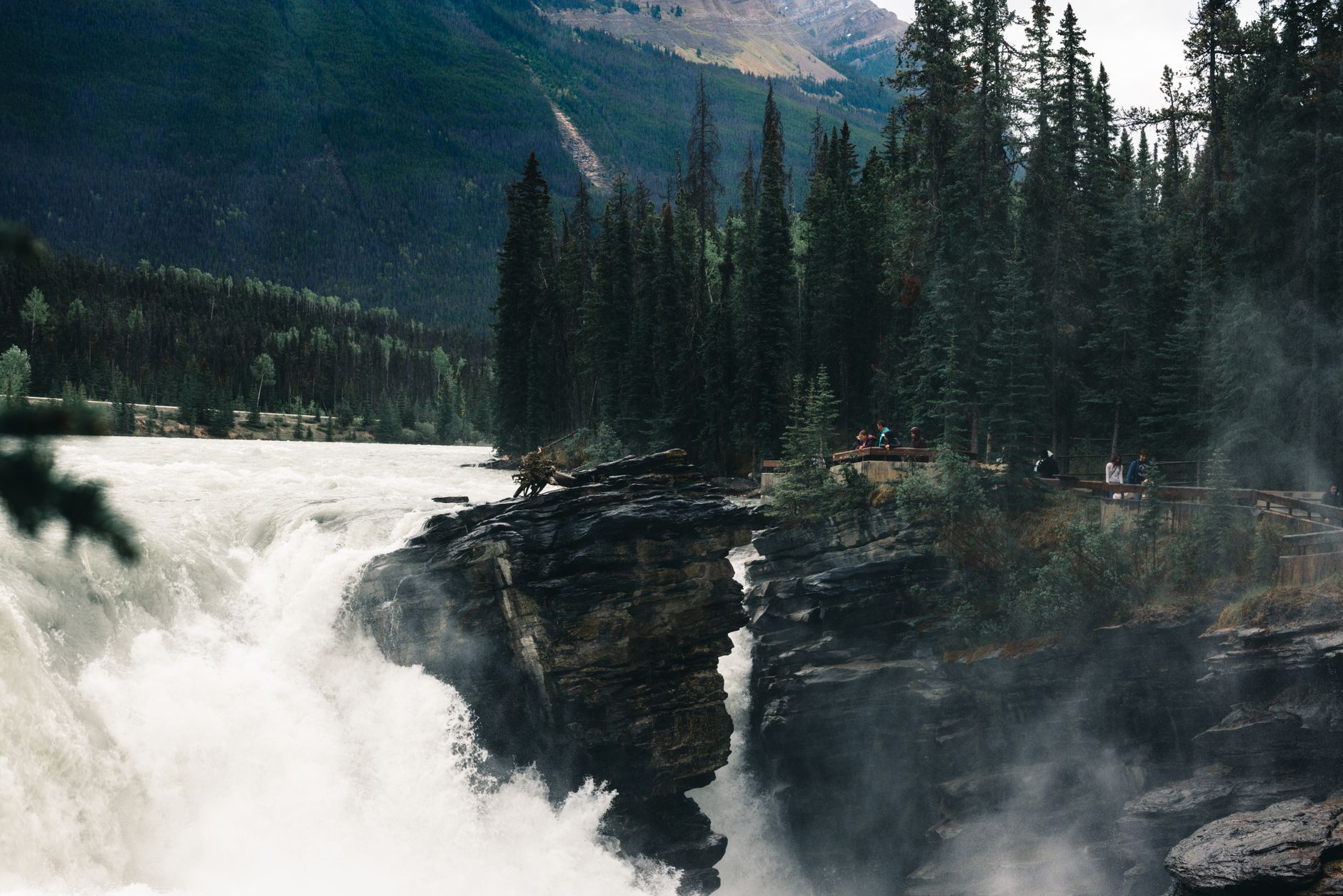 Jasper National Park