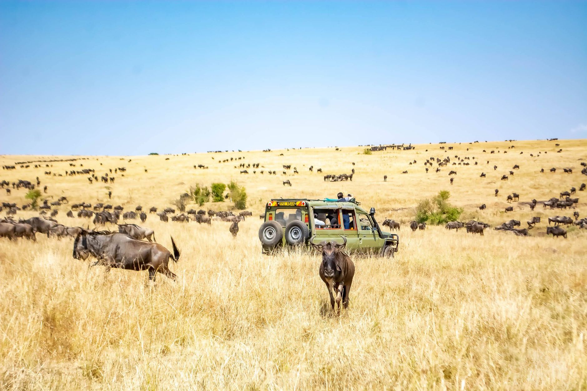 Kafue National Park