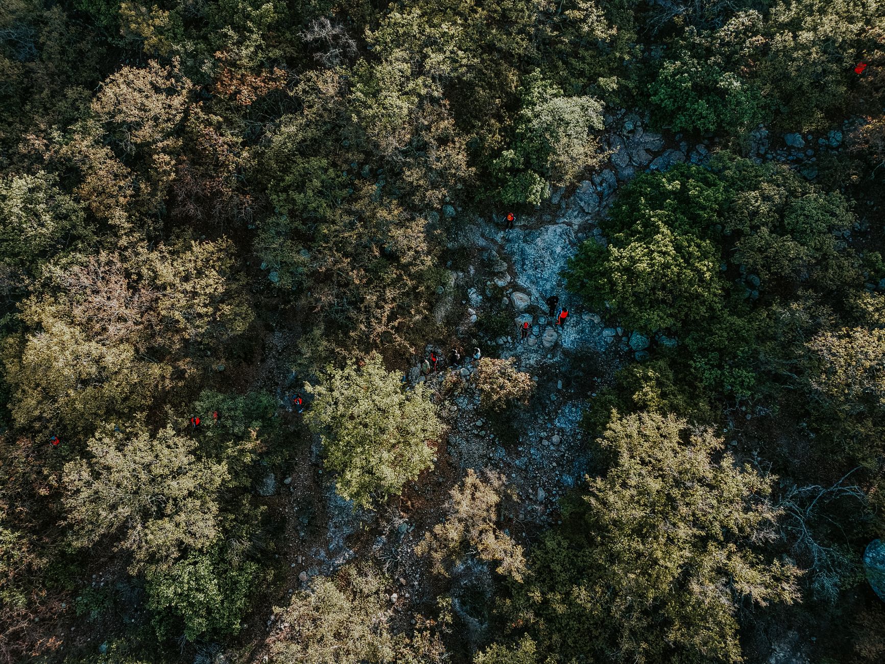 Kasanka National Park