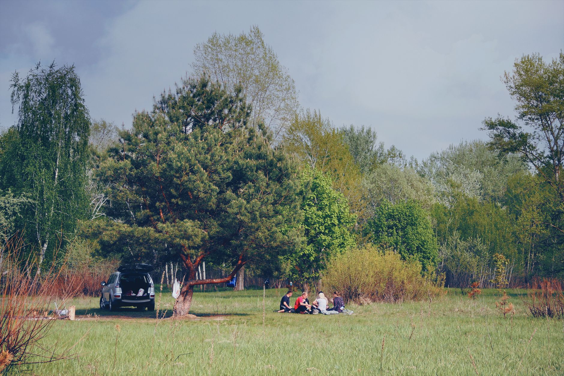 Klein's Camp Area