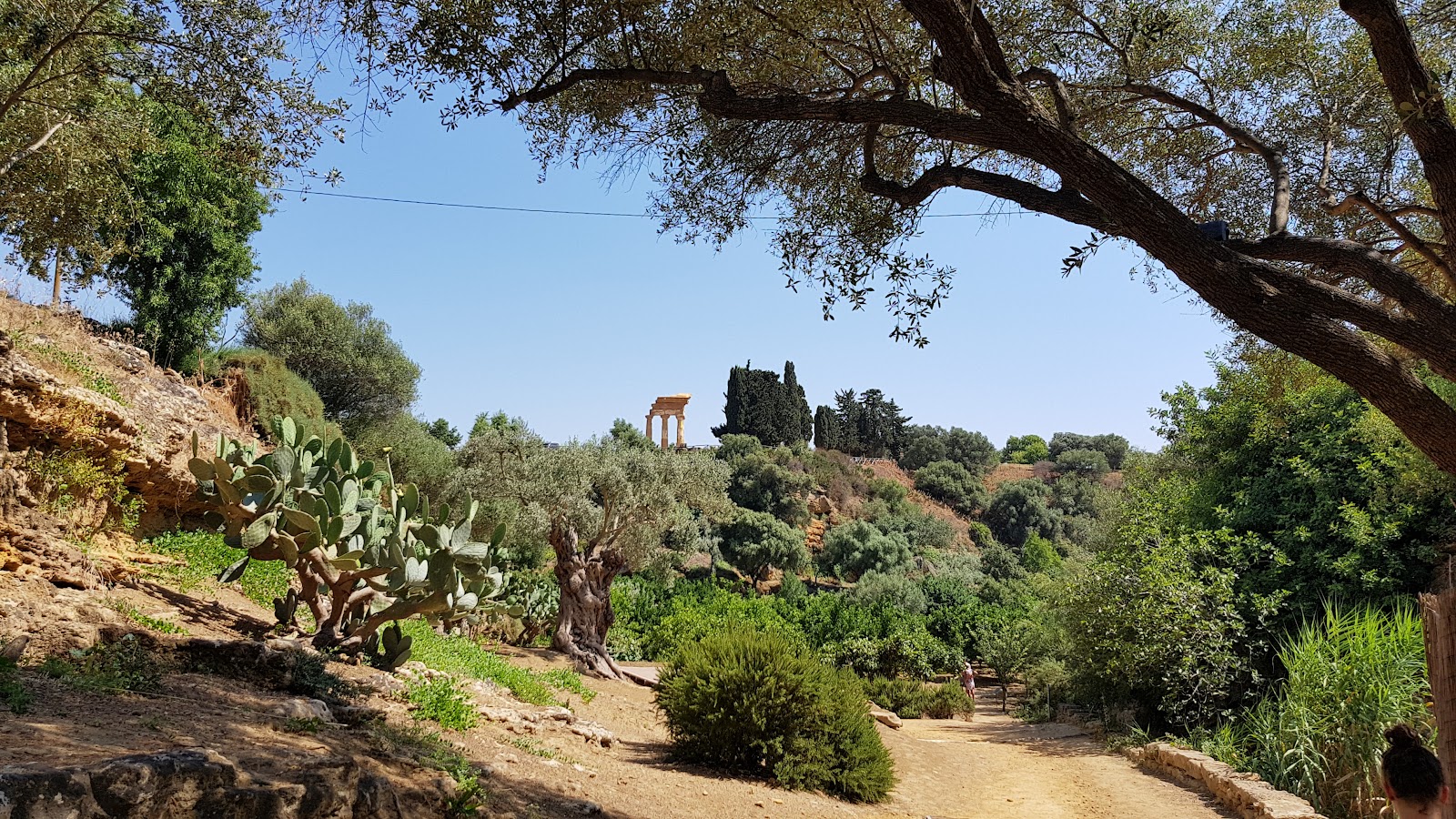 Kolymbetra Garden