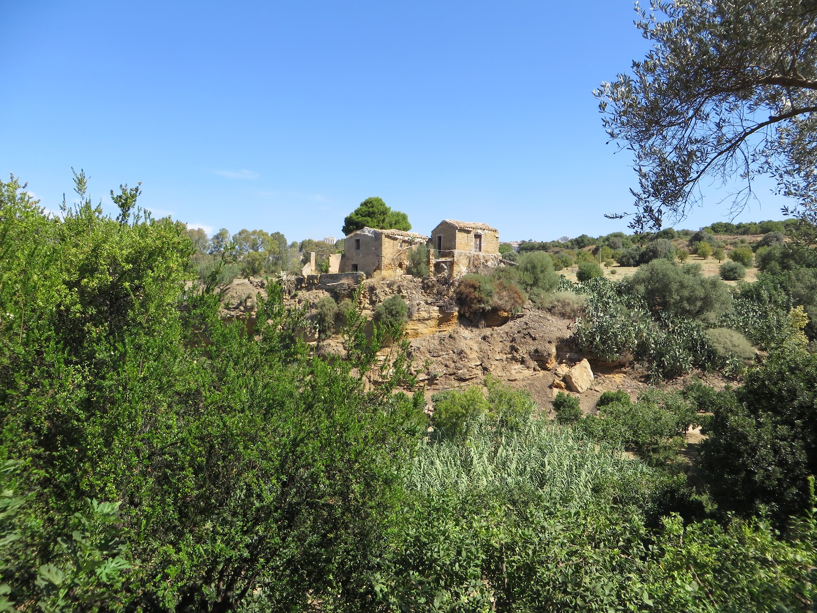 Kolymbetra Garden
