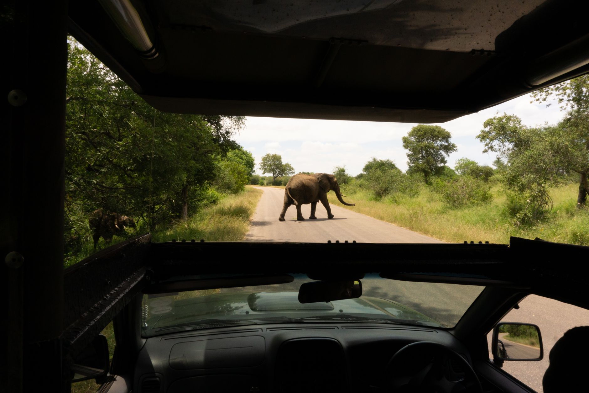 Kruger National Park