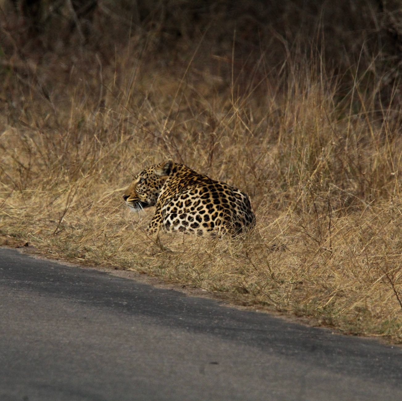 Kruger National Park