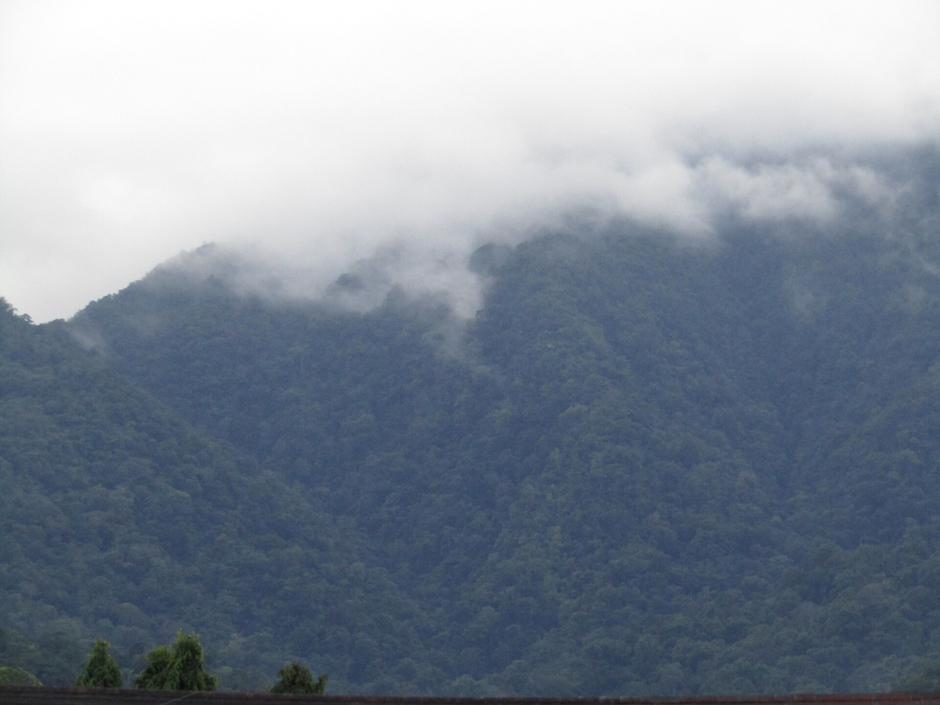 La Ceiba