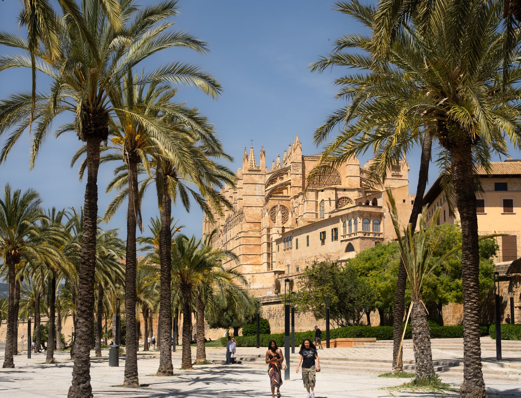La Seu Cathedral