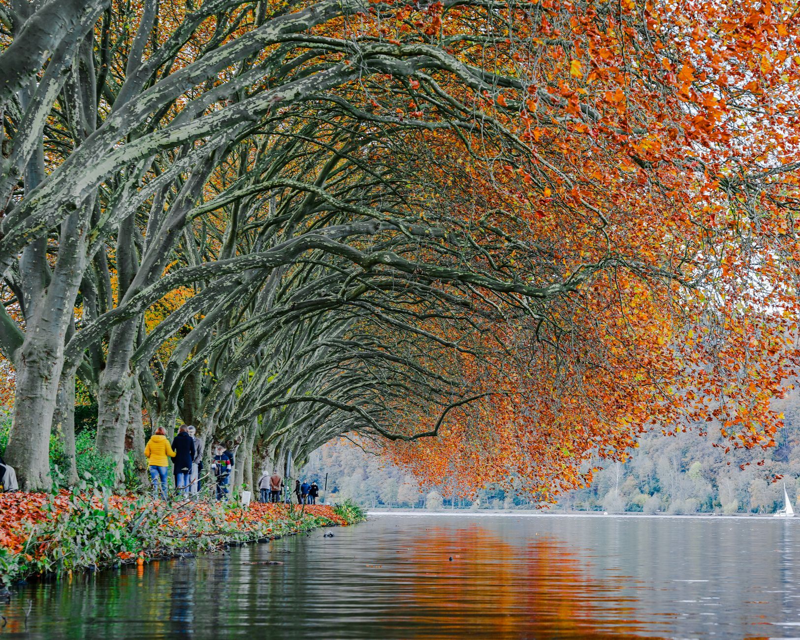 Lake Hayes