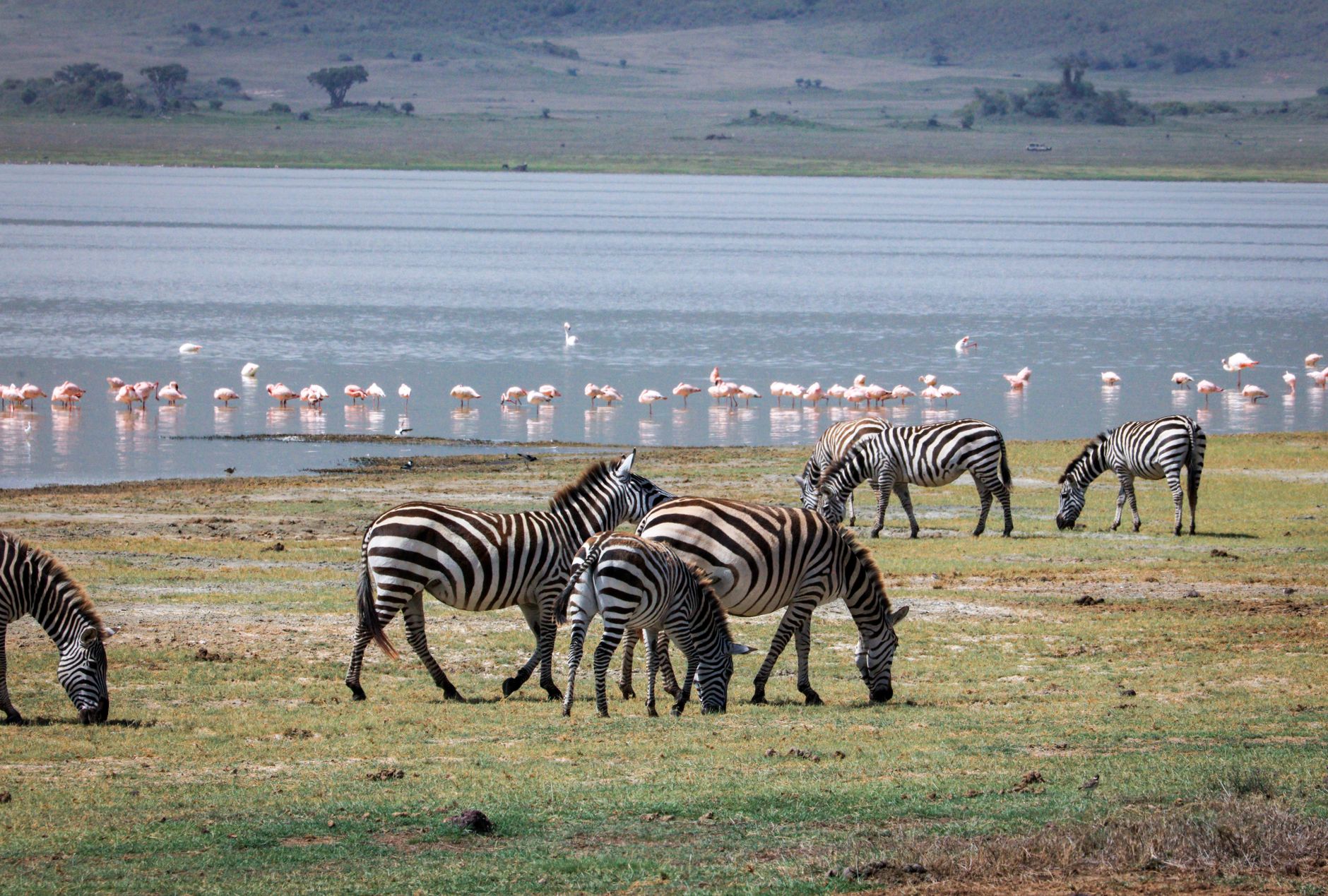 Lake Manyara National Park