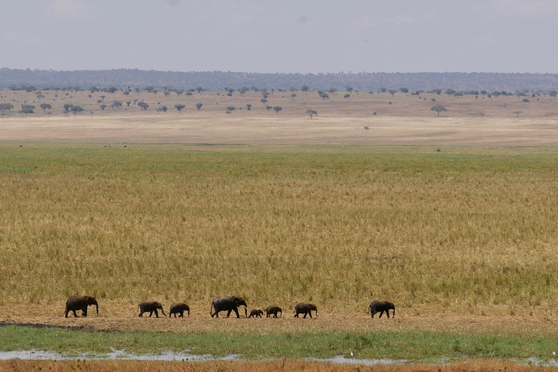 Lake Manyara National Park