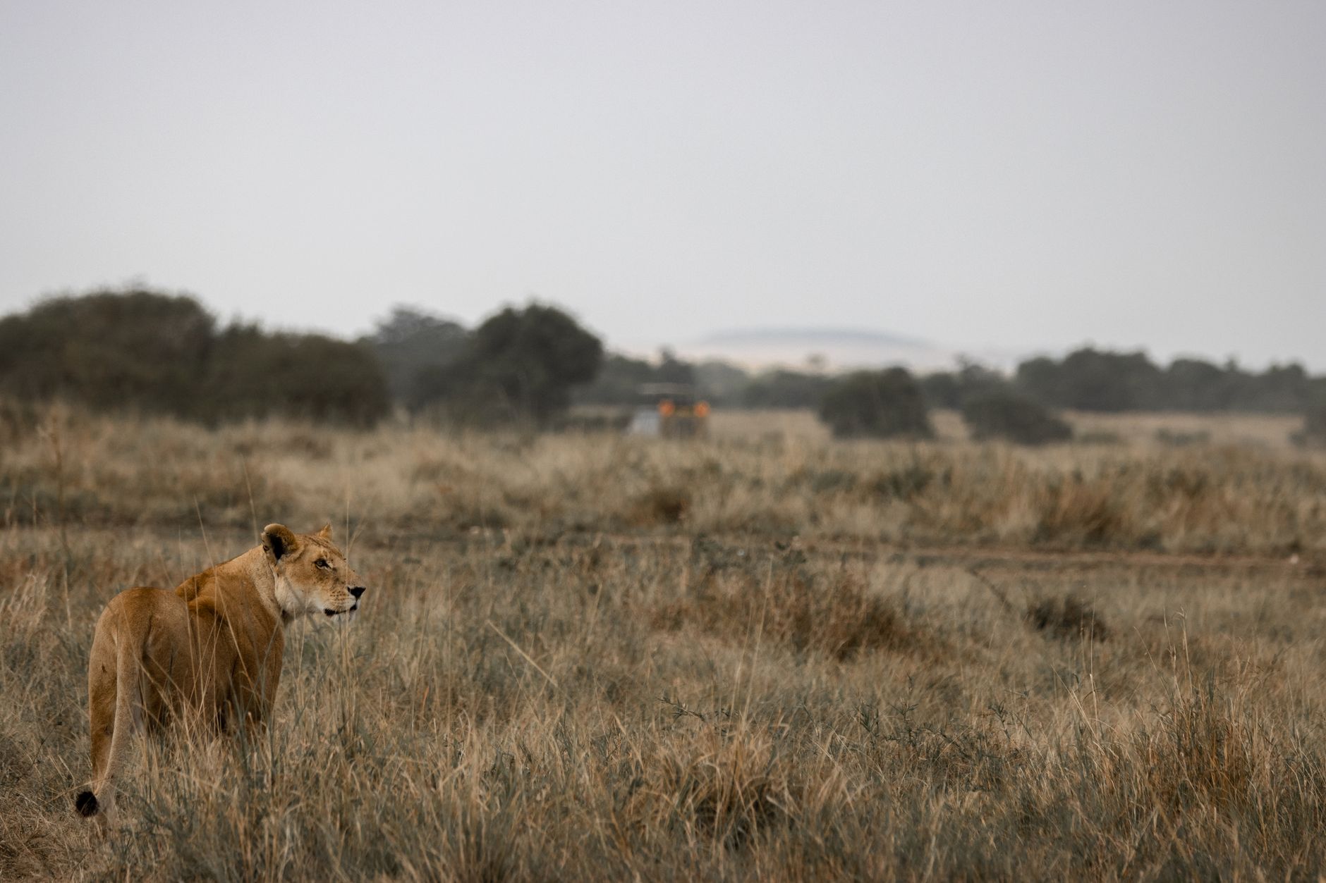 Lake Nakuru National Park