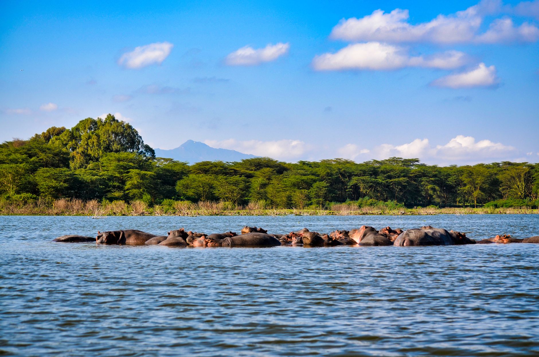 Lake Nakuru National Park