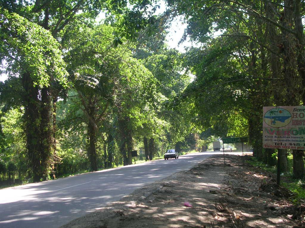 Lancetilla Botanical Garden