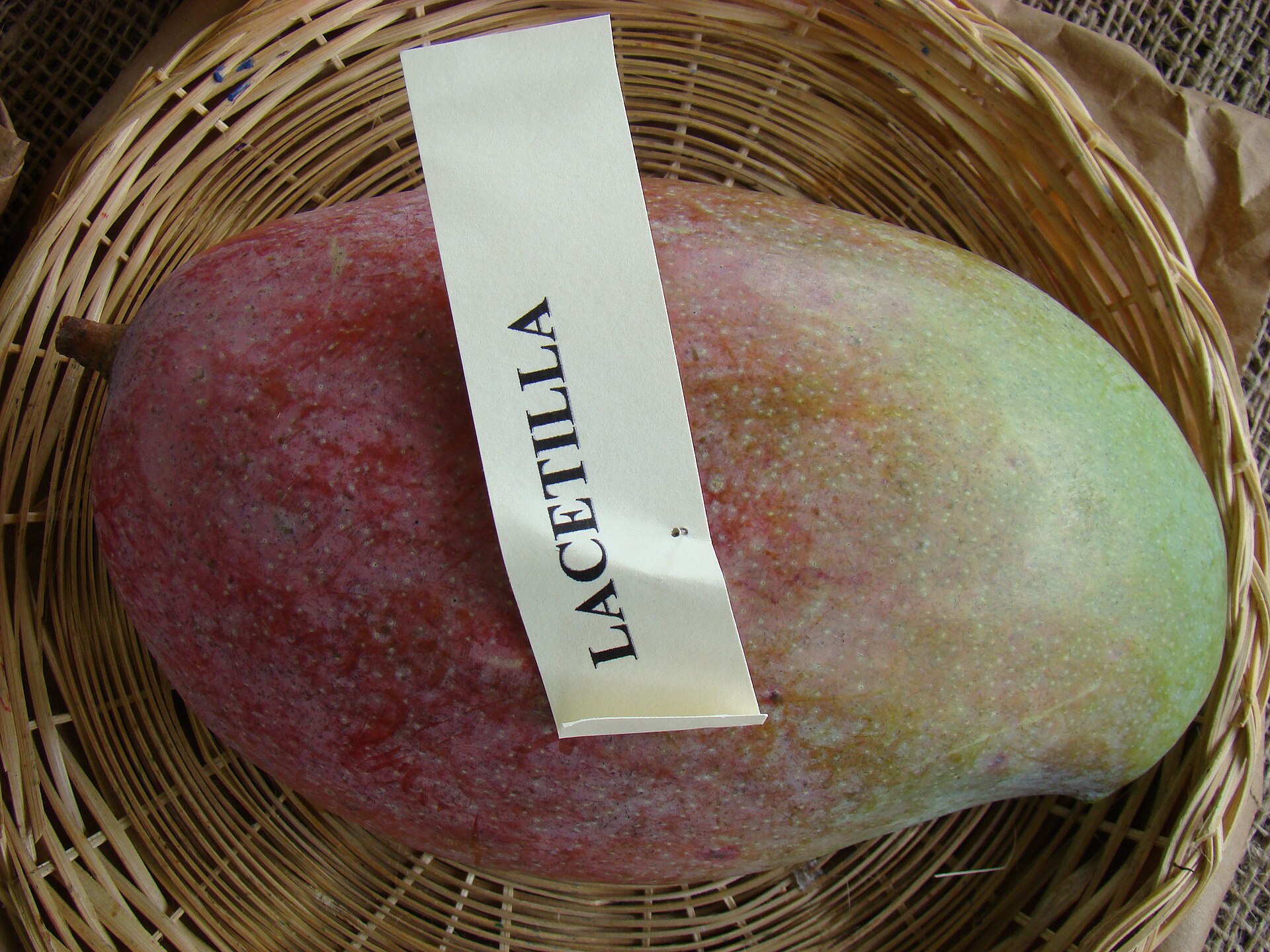 Lancetilla Botanical Garden