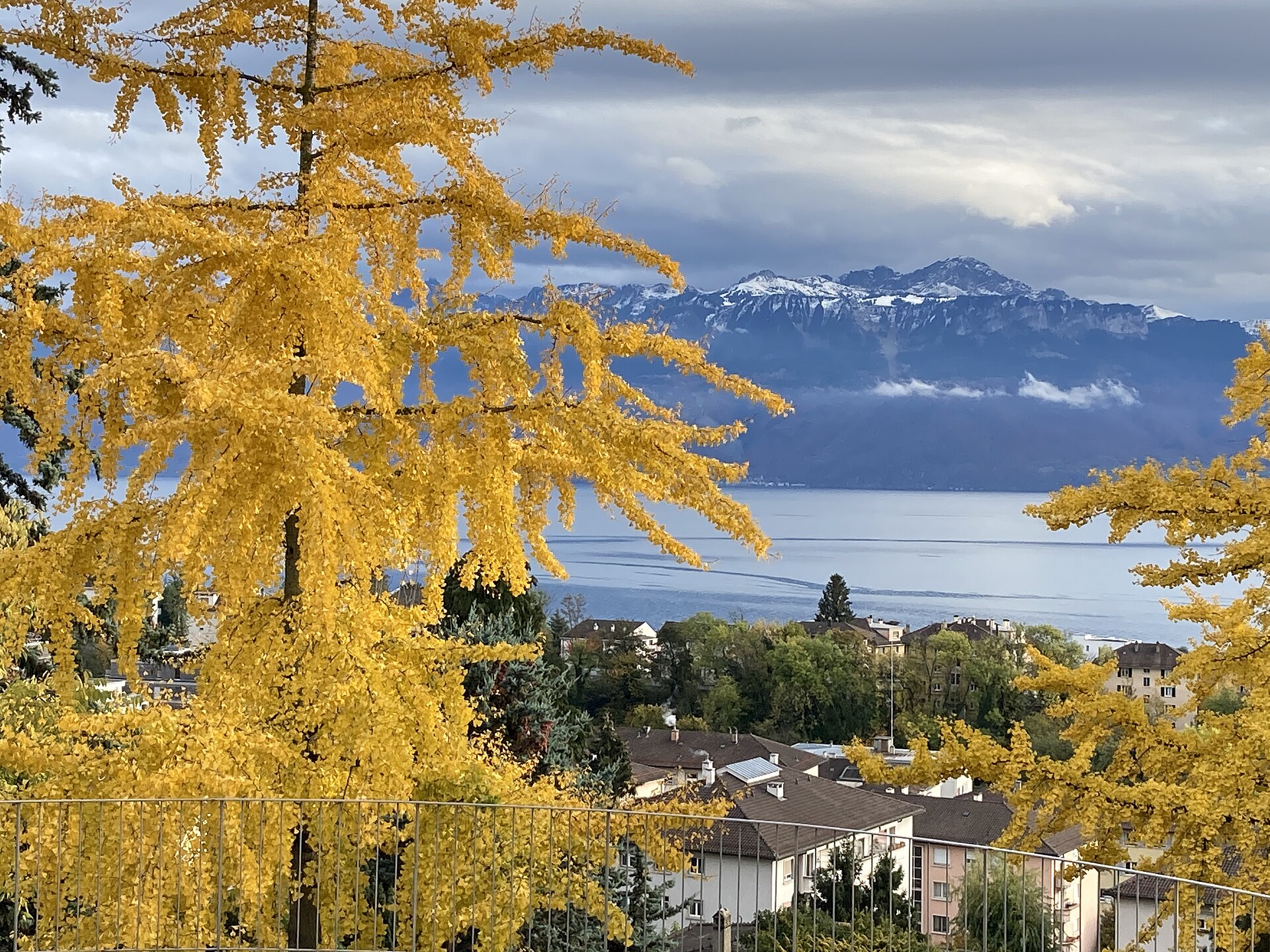 Lausanne