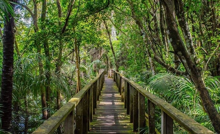 Lekki Conservation Centre