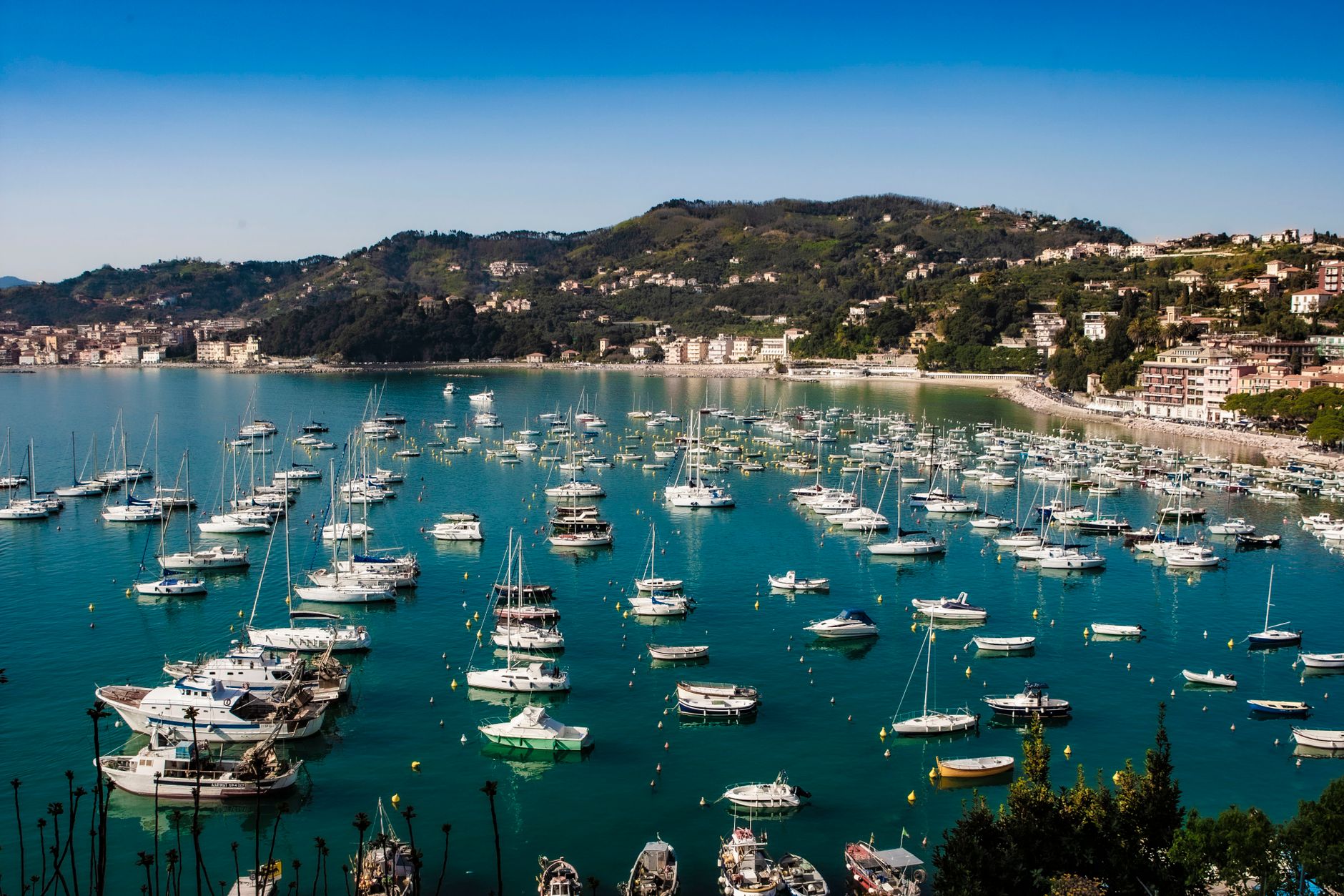 Lerici