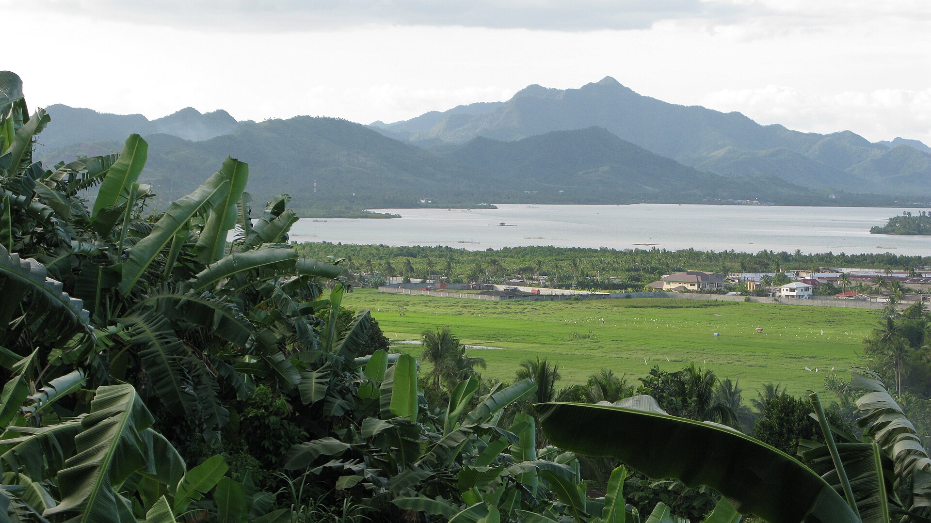 Leyte