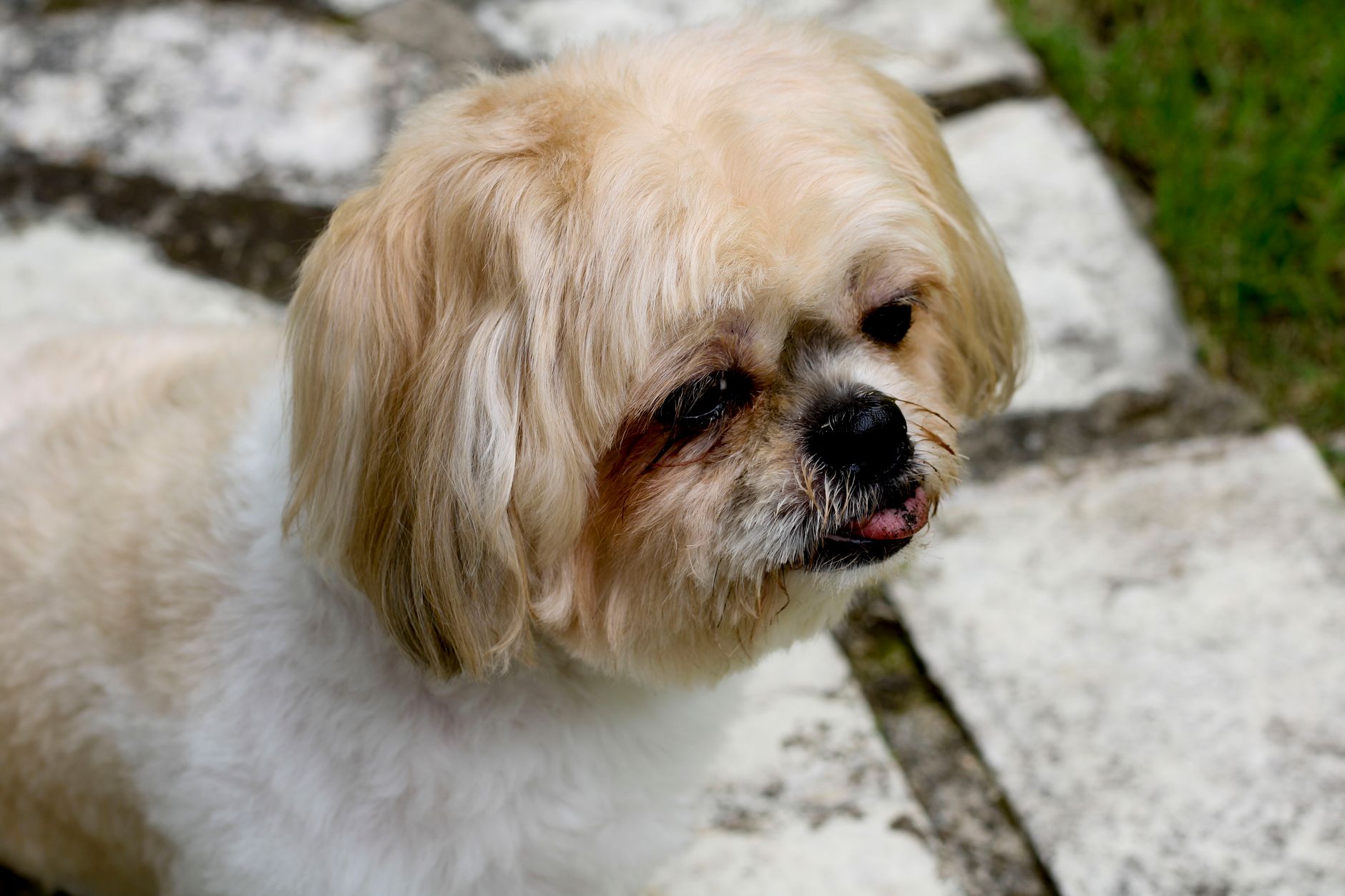 Lhasa