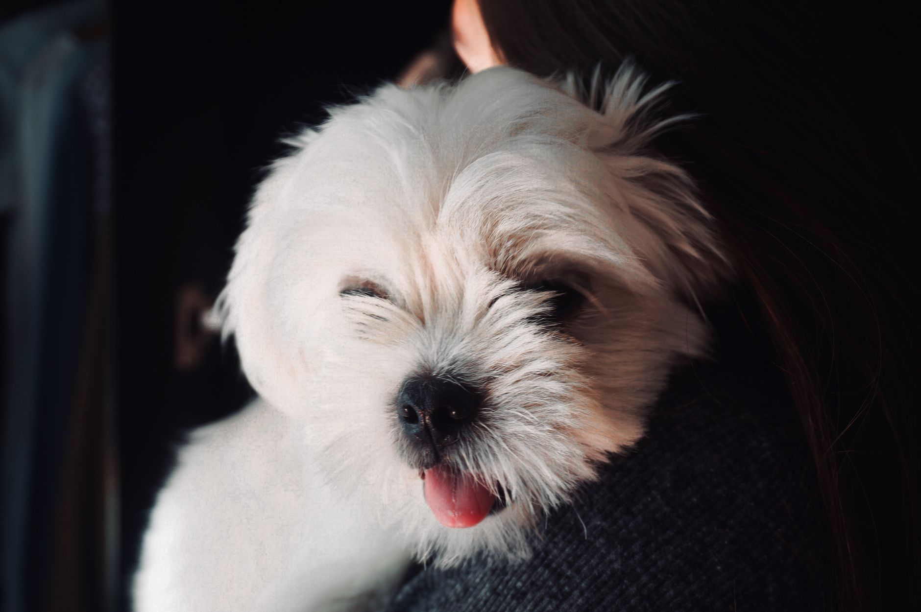 Lhasa
