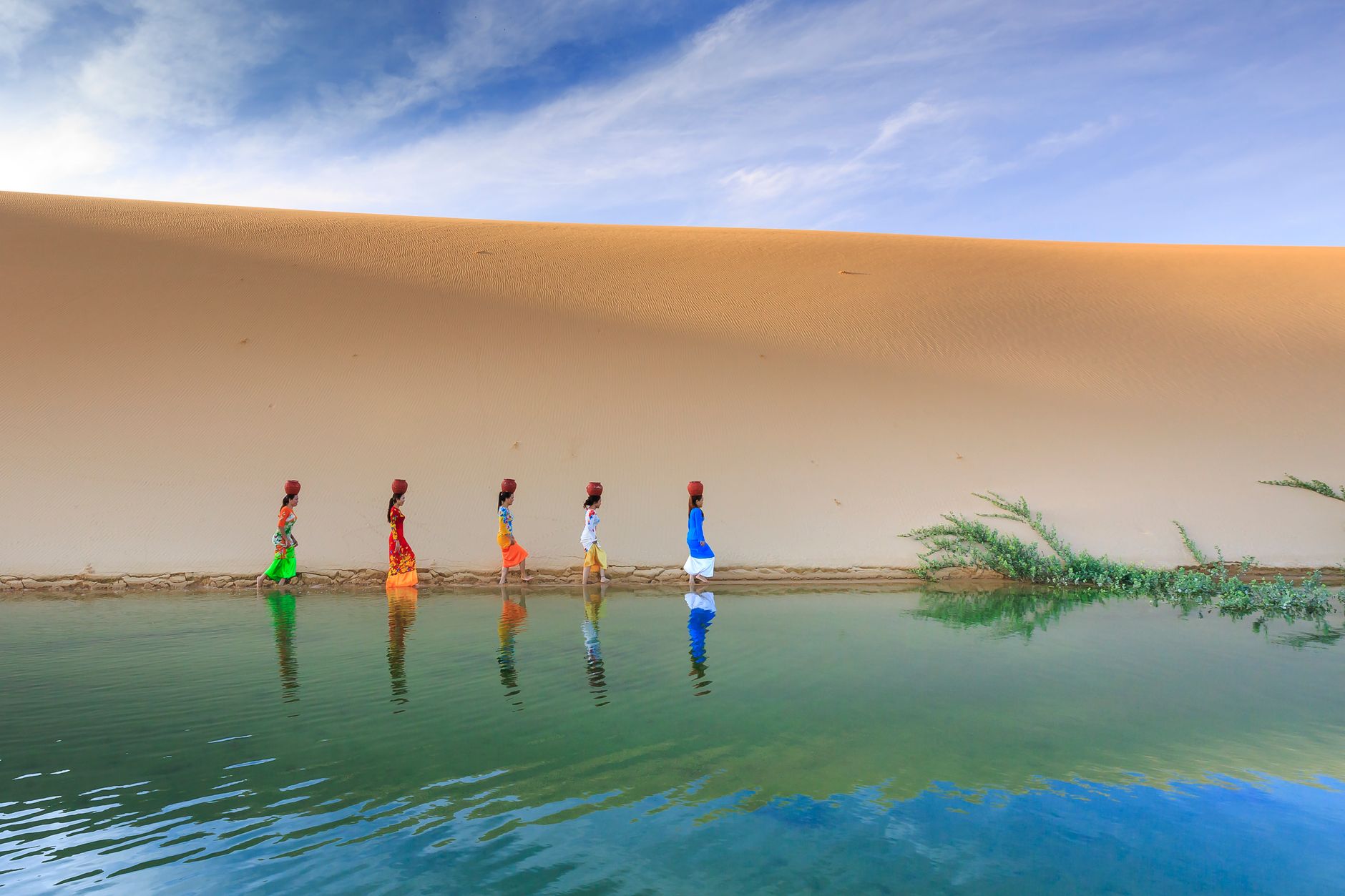Liwa Oasis
