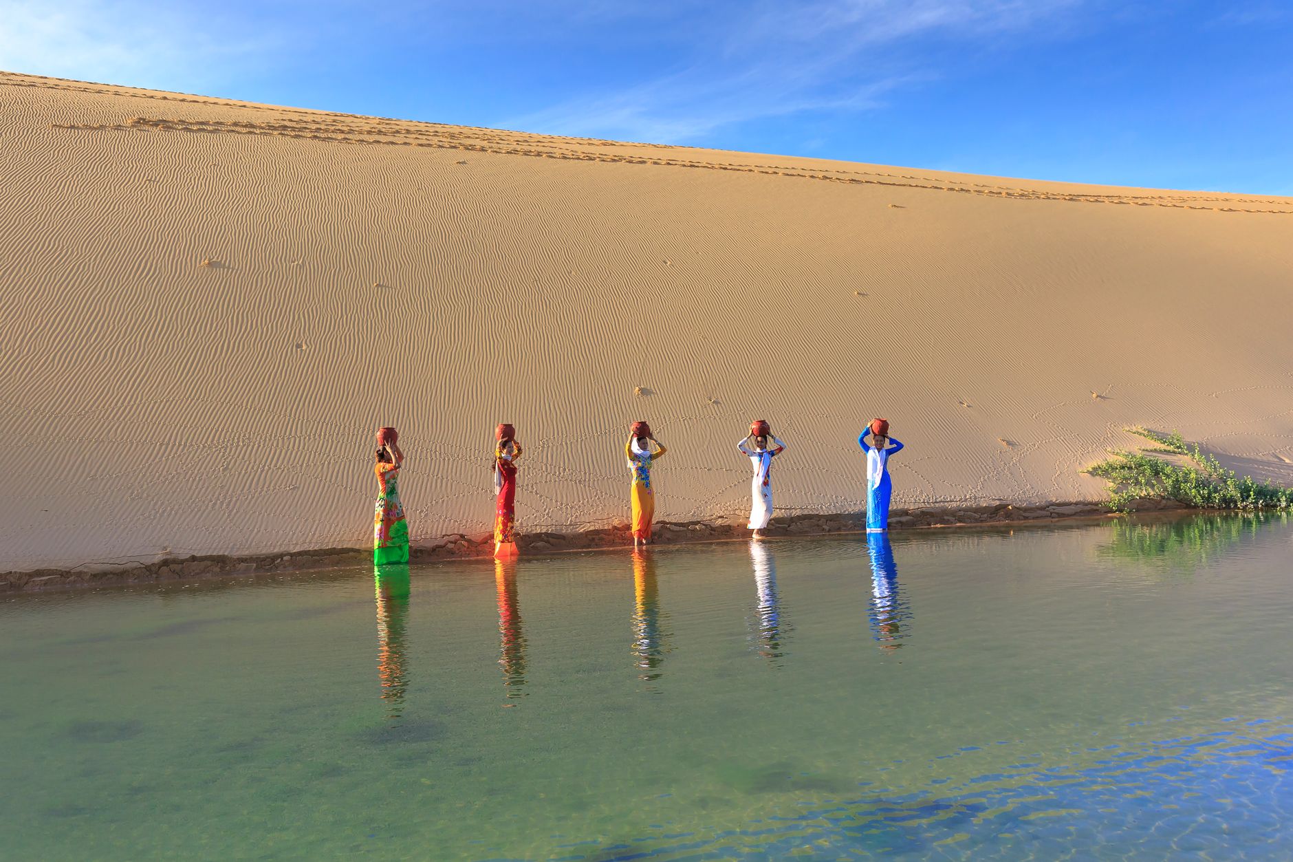 Liwa Oasis