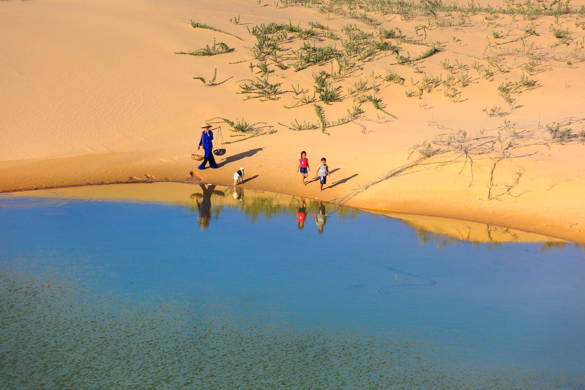 Liwa Oasis