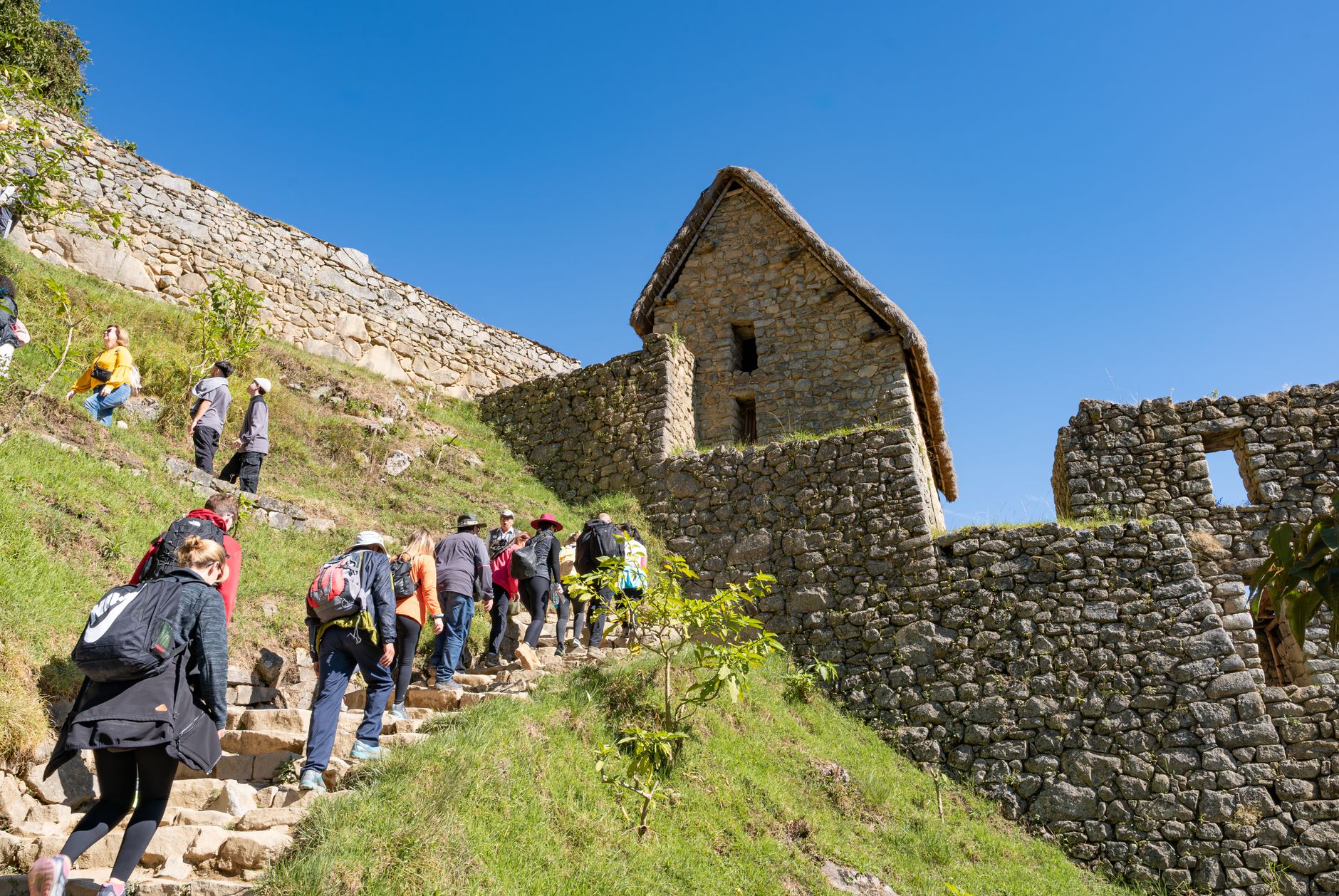 Machu Picchu