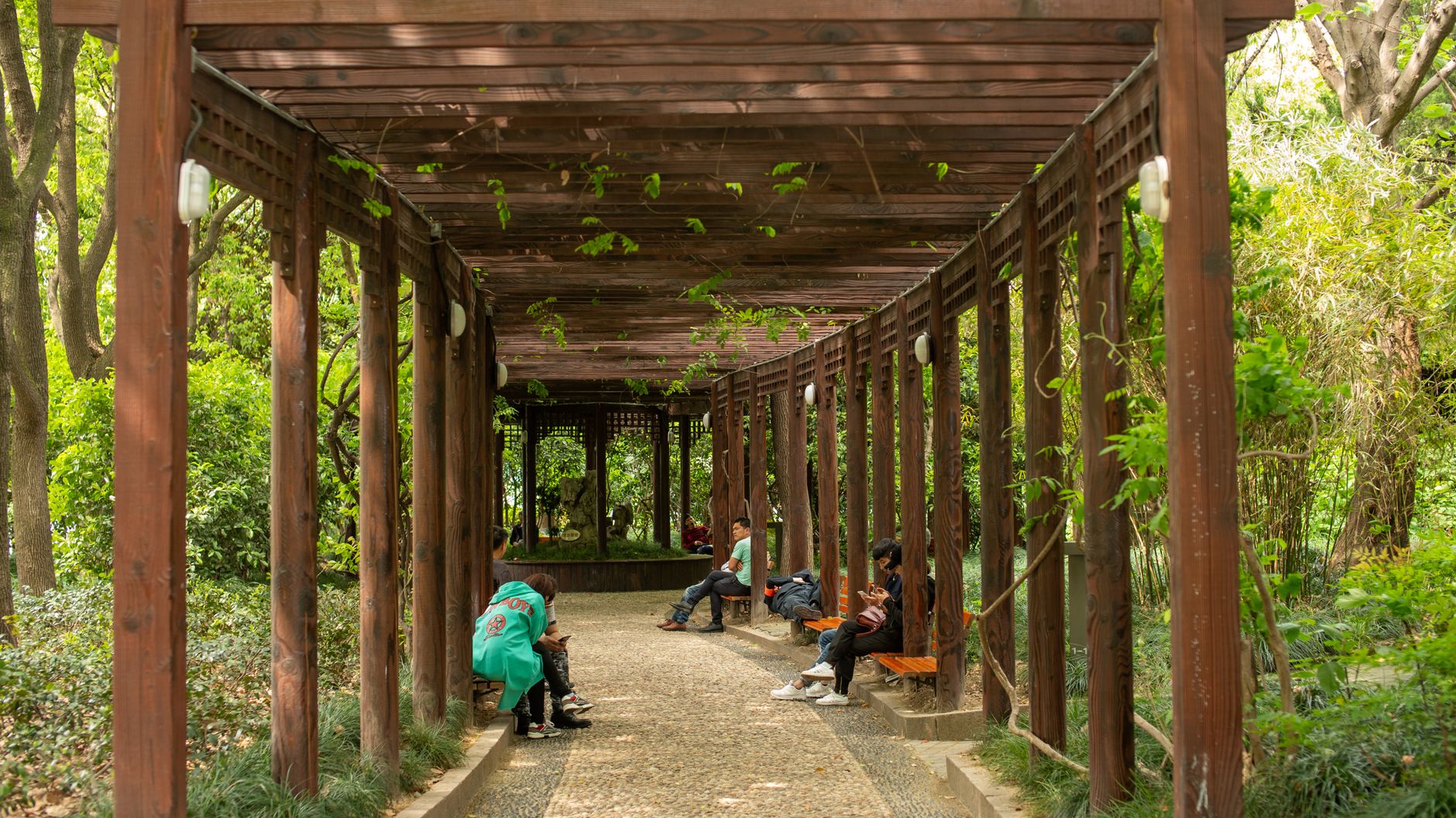 Majorelle Blue Pergola