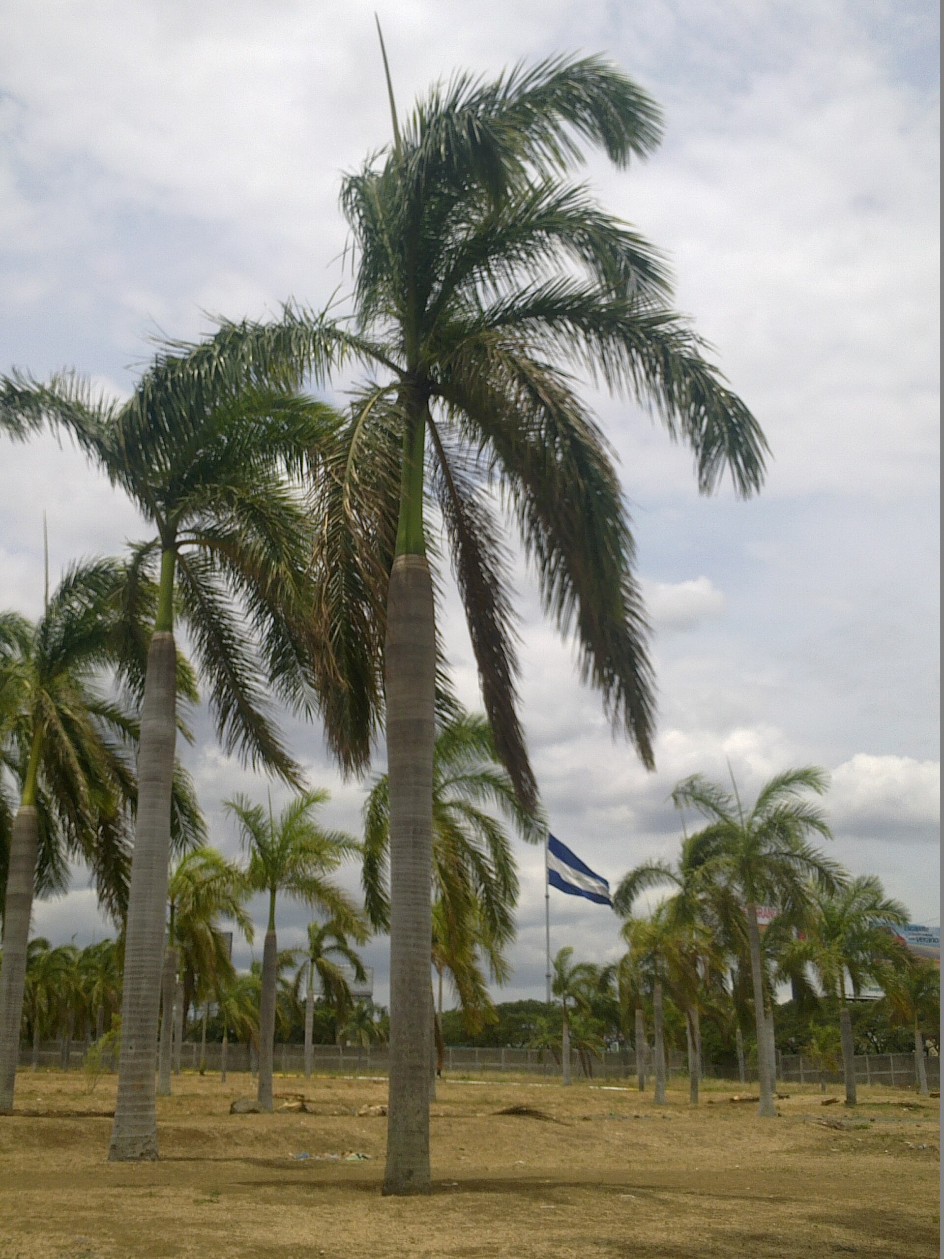 Managua
