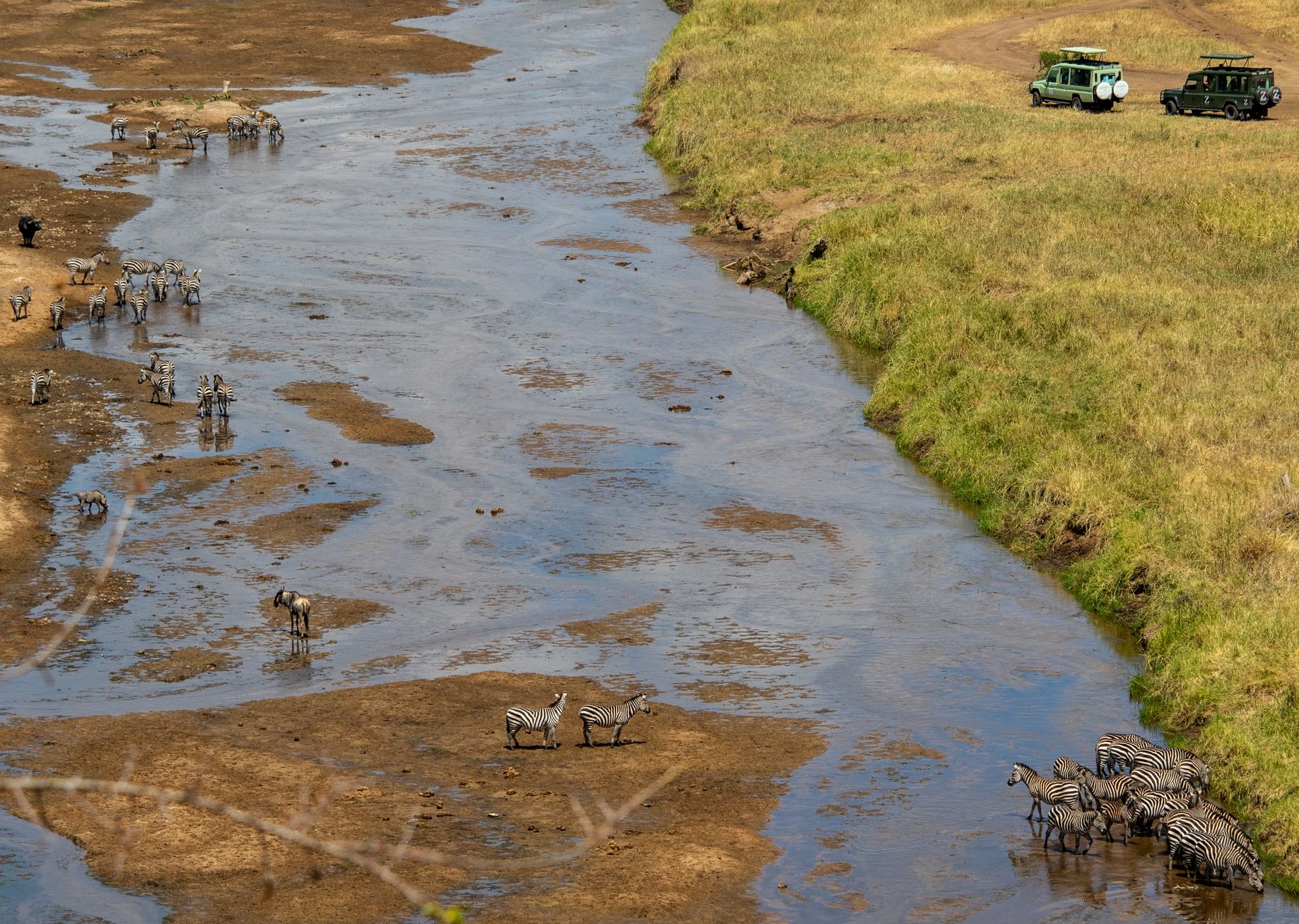 Mara River Crossing Area