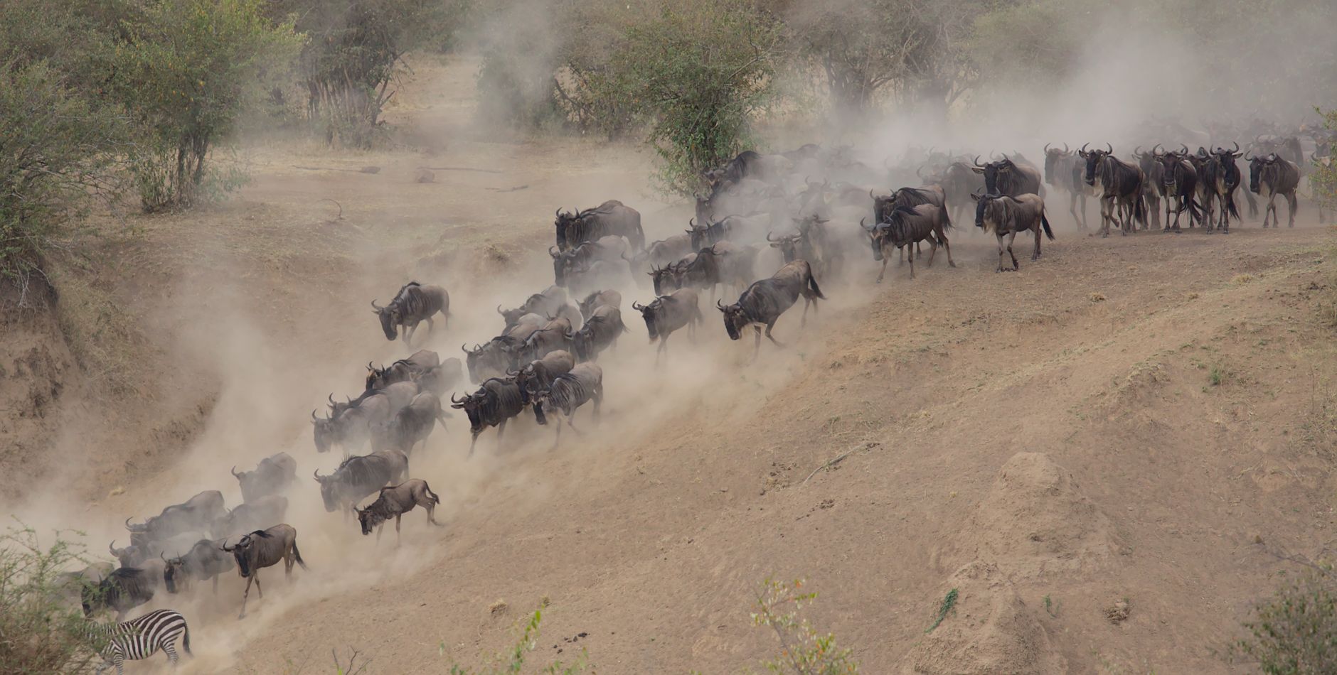 Mara River Crossing Area