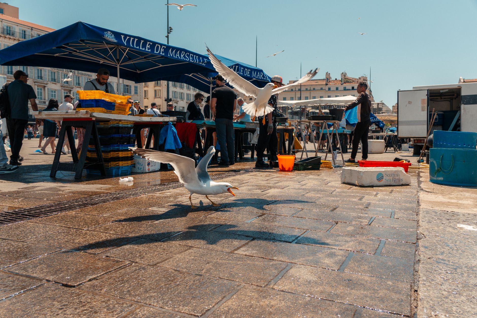 Marseille