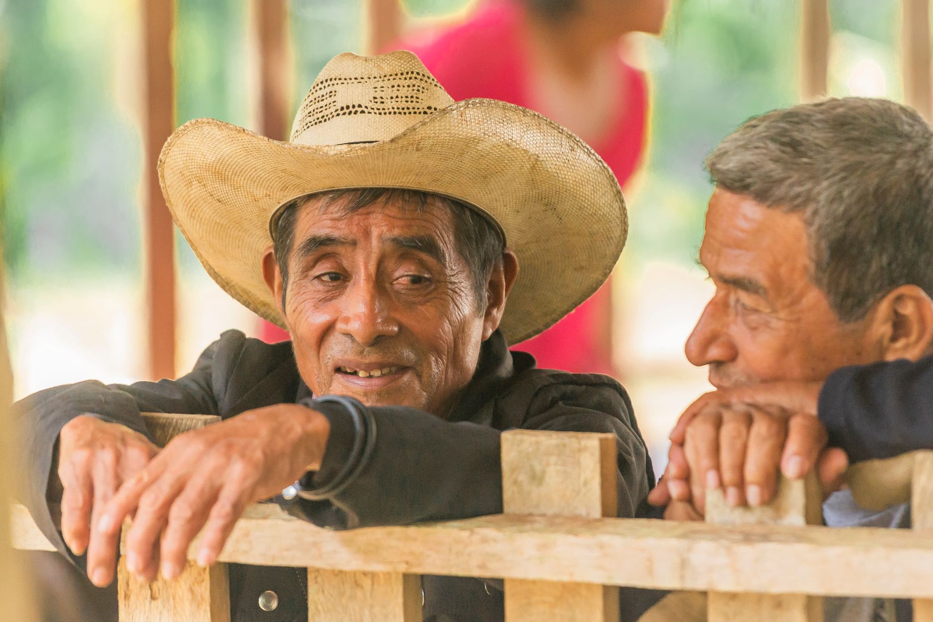 Milpa Alta