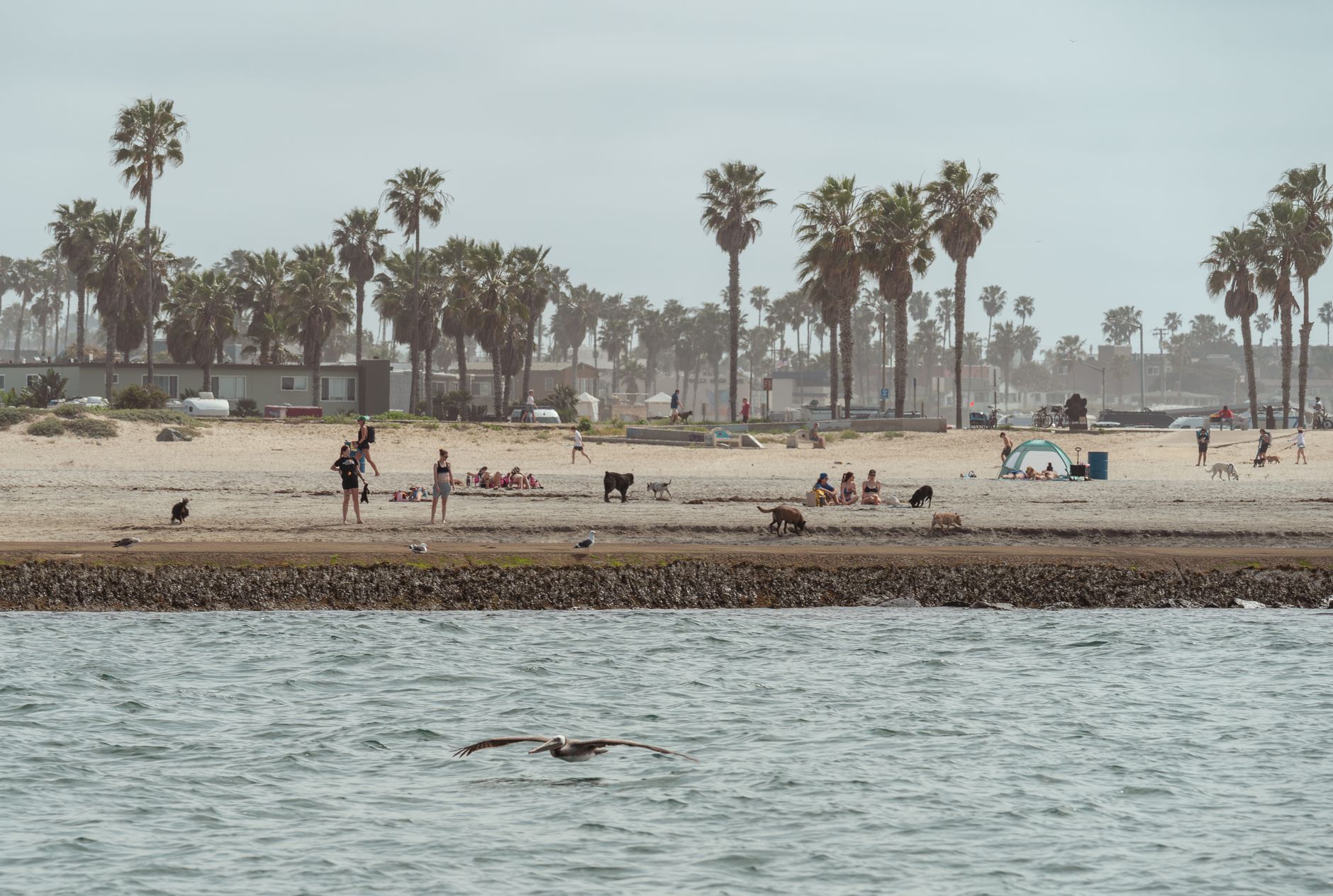 Mission Beach