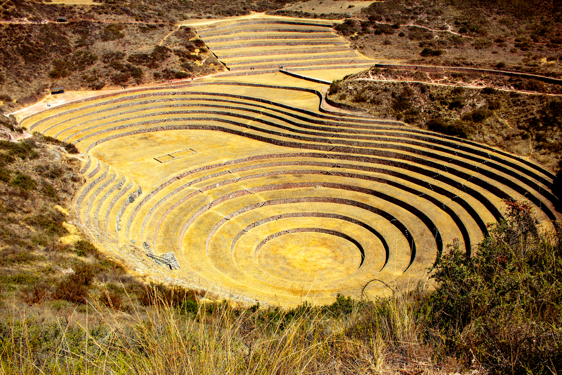 Moray