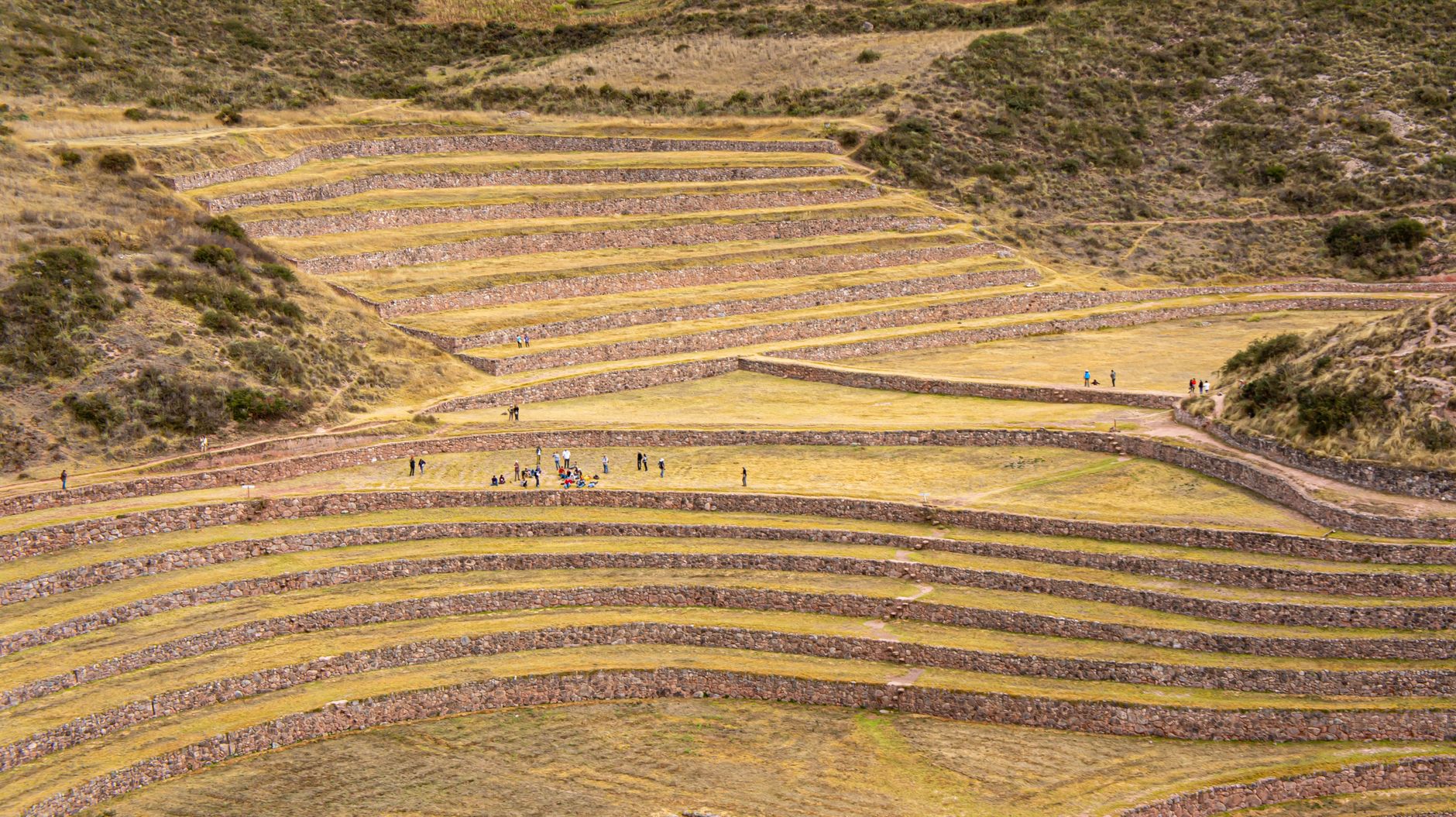 Moray
