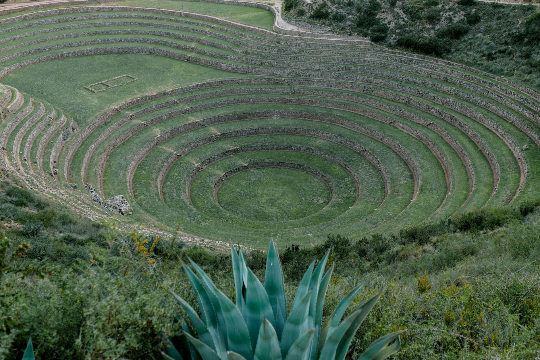 Moray