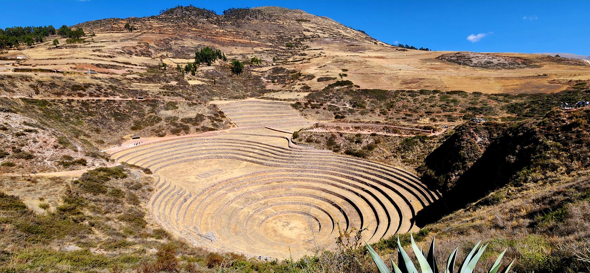 Moray