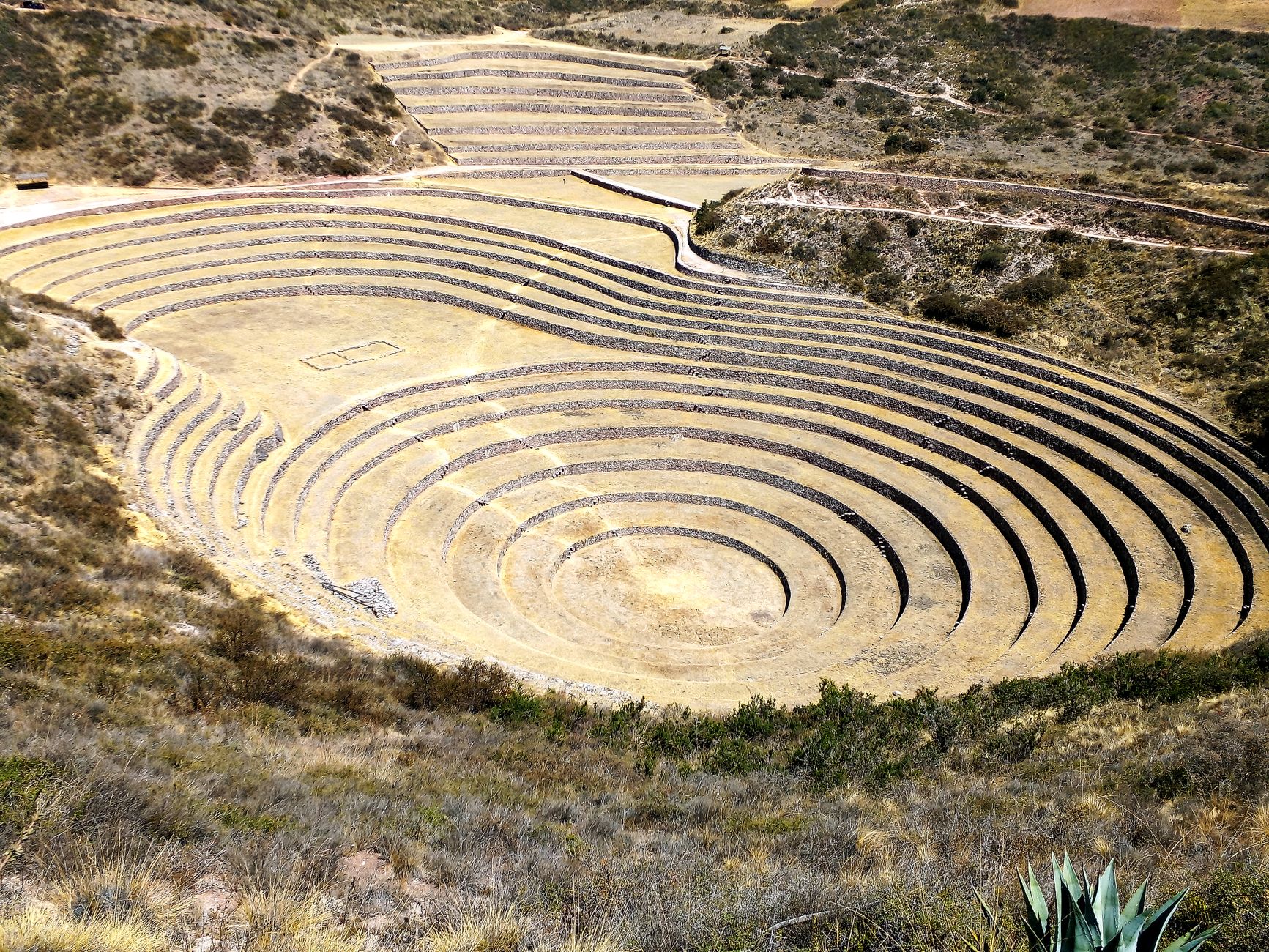 Moray
