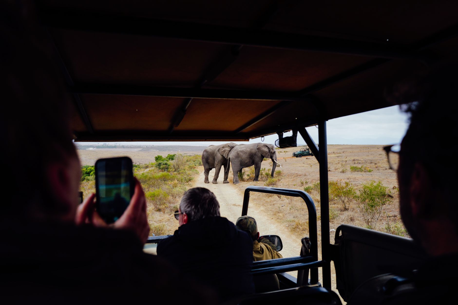 Moremi Game Reserve