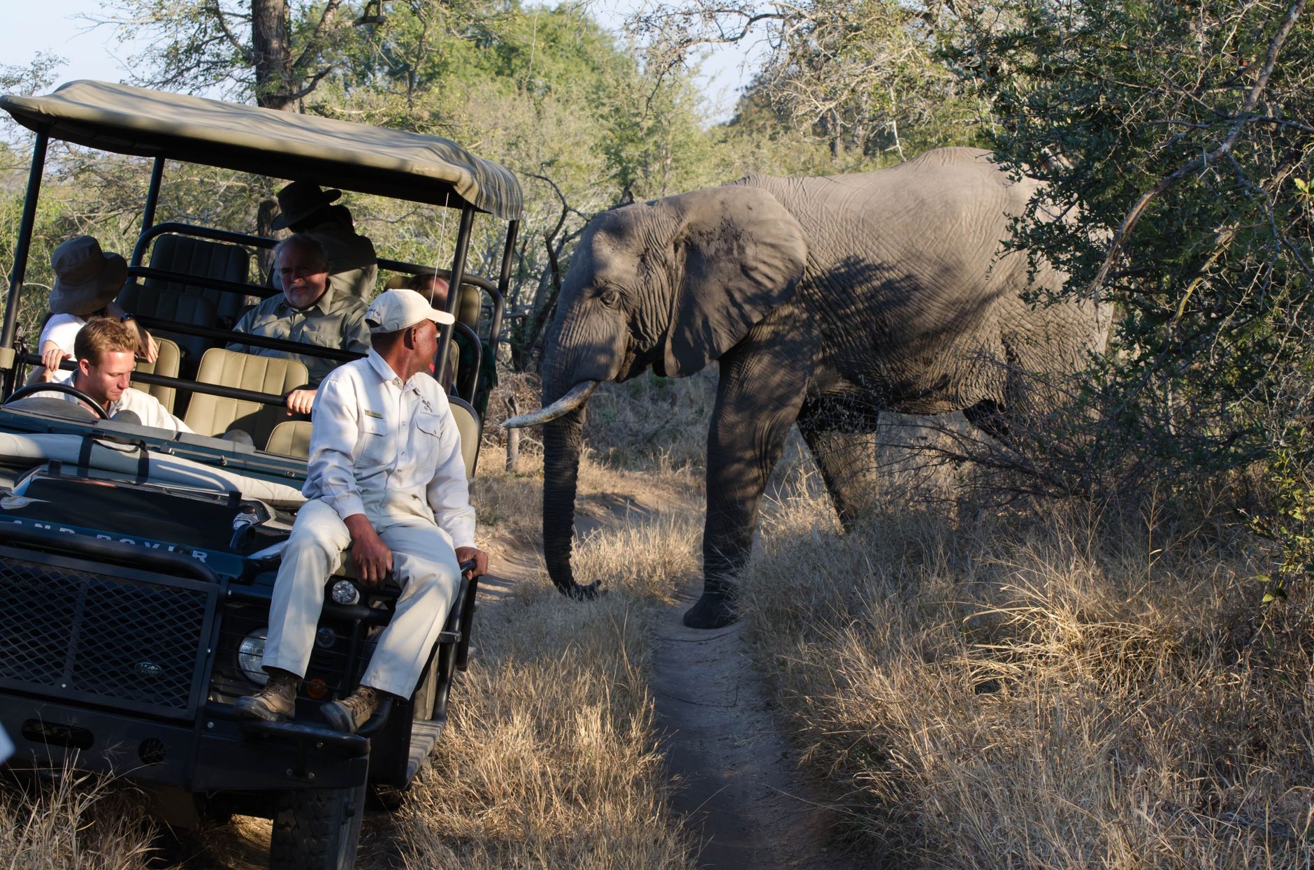 Moremi Game Reserve