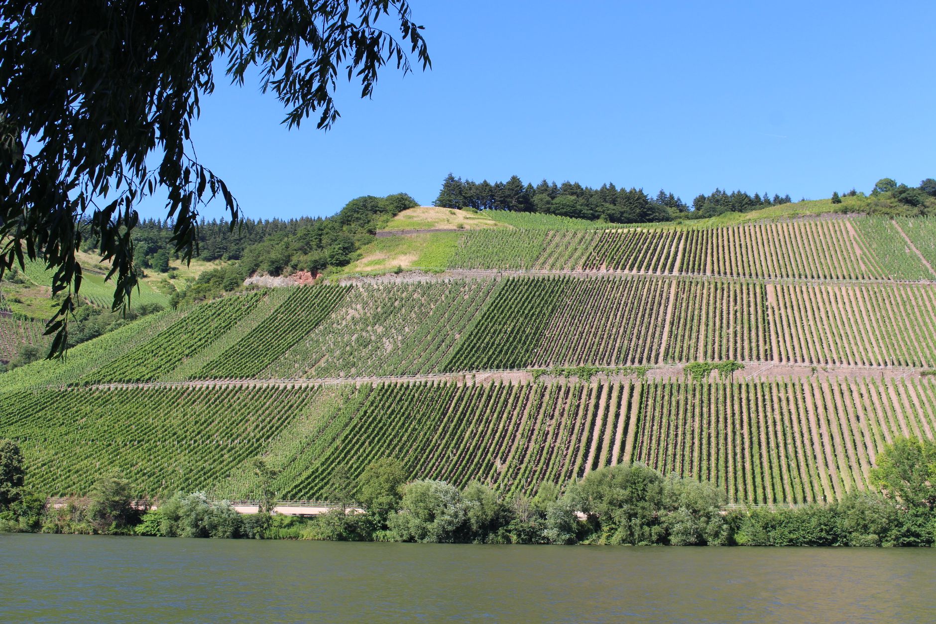 Moselle Valley