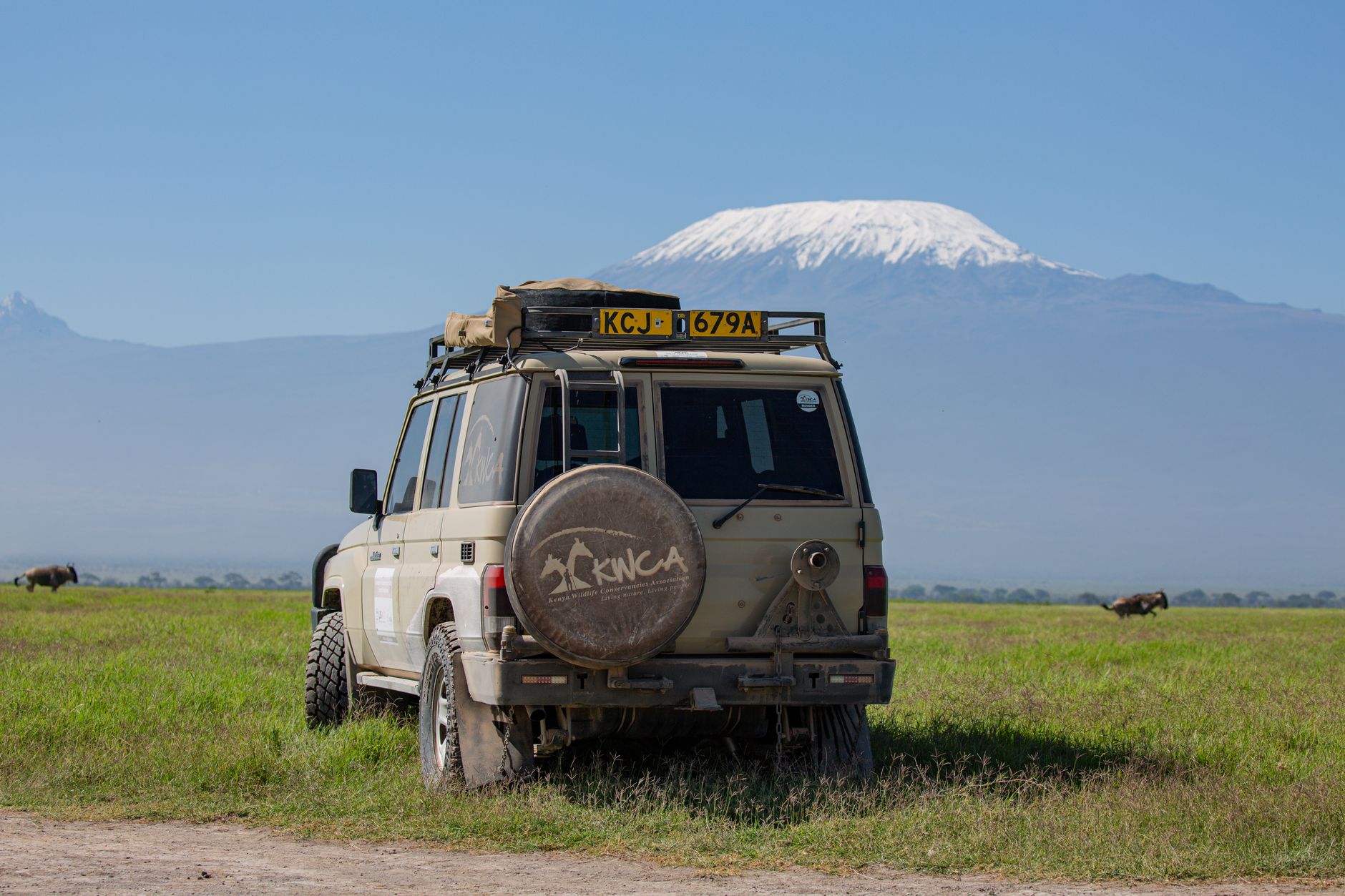 Mount Kenya National Park