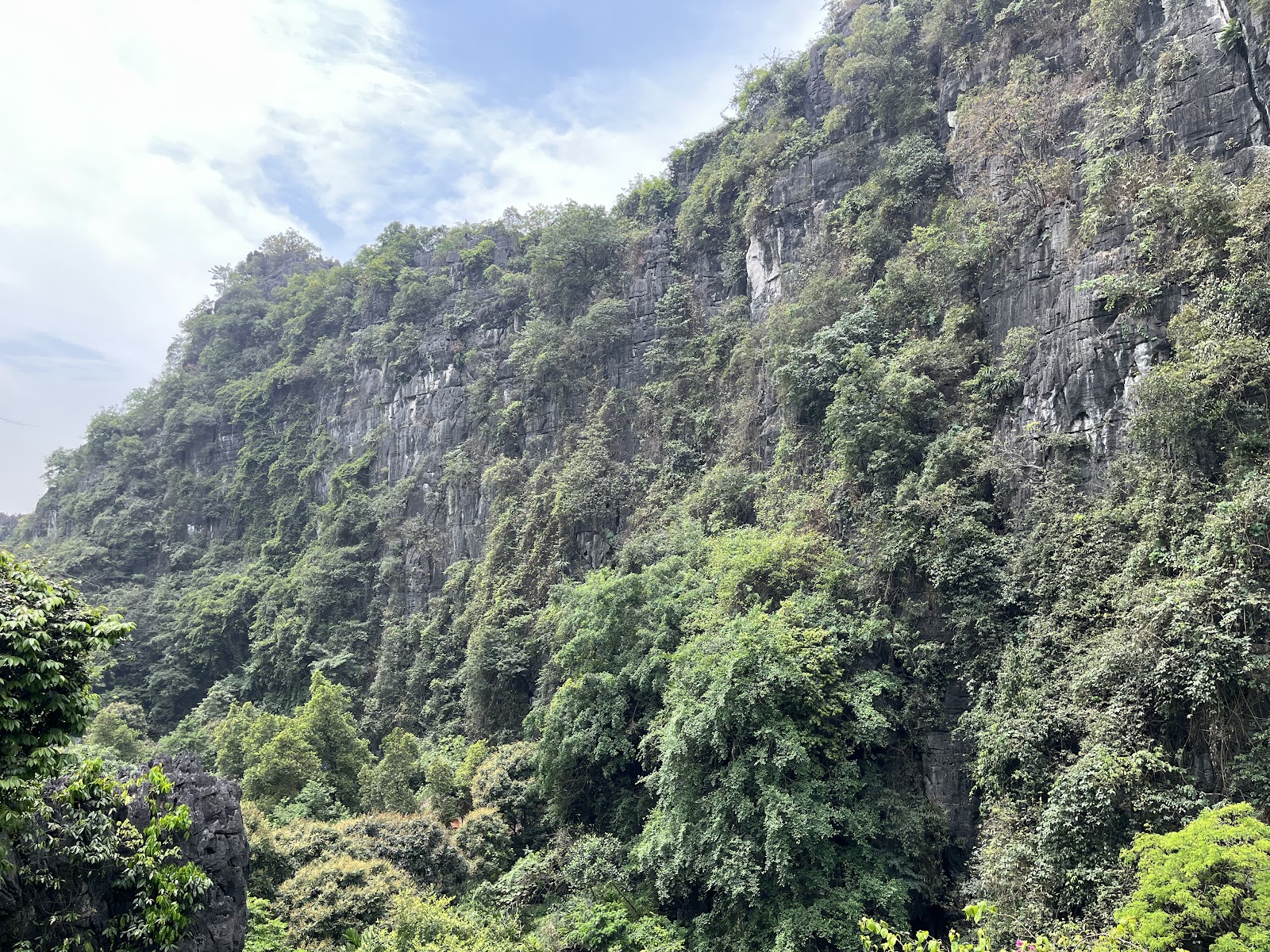 Mua Cave Viewpoint (Hang Mua)