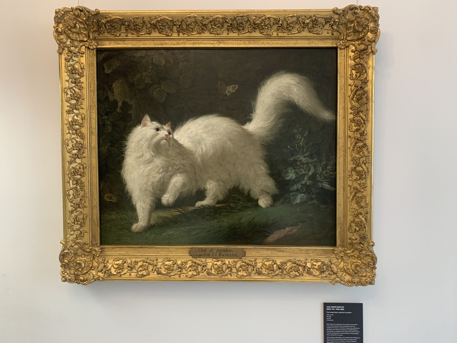 Musée Lambinet