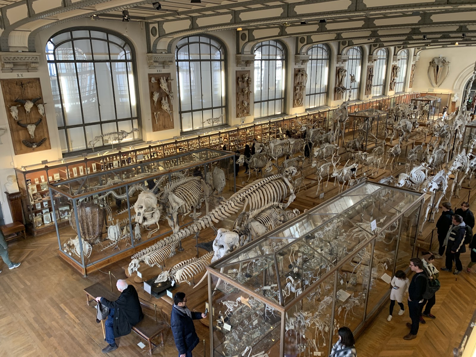 Musée National d'Histoire Naturelle