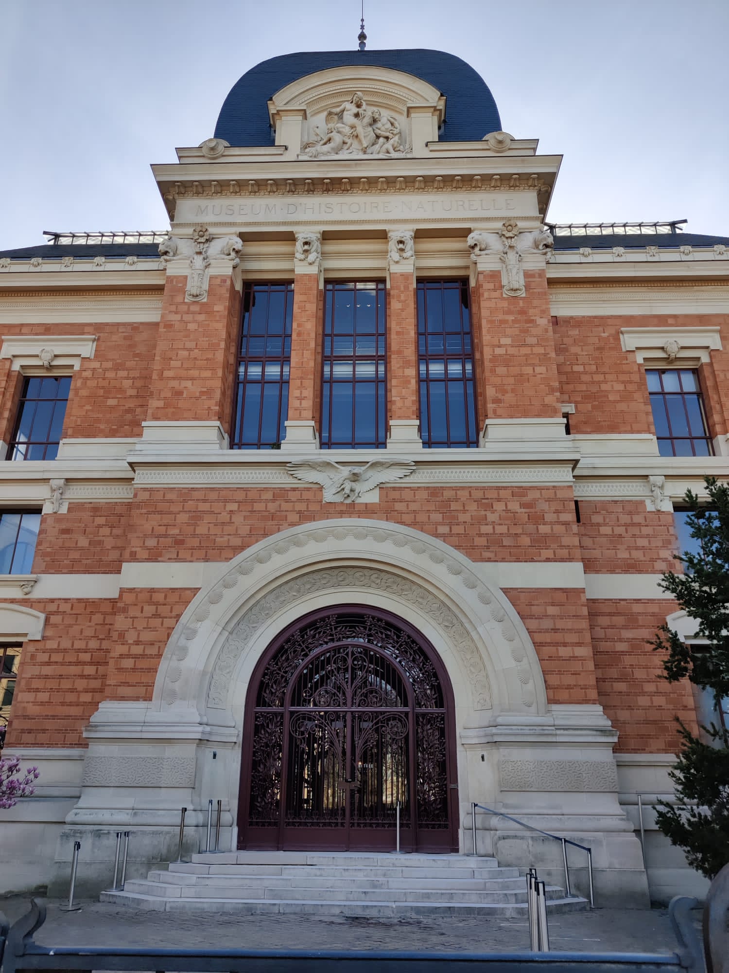 Musée National d'Histoire Naturelle