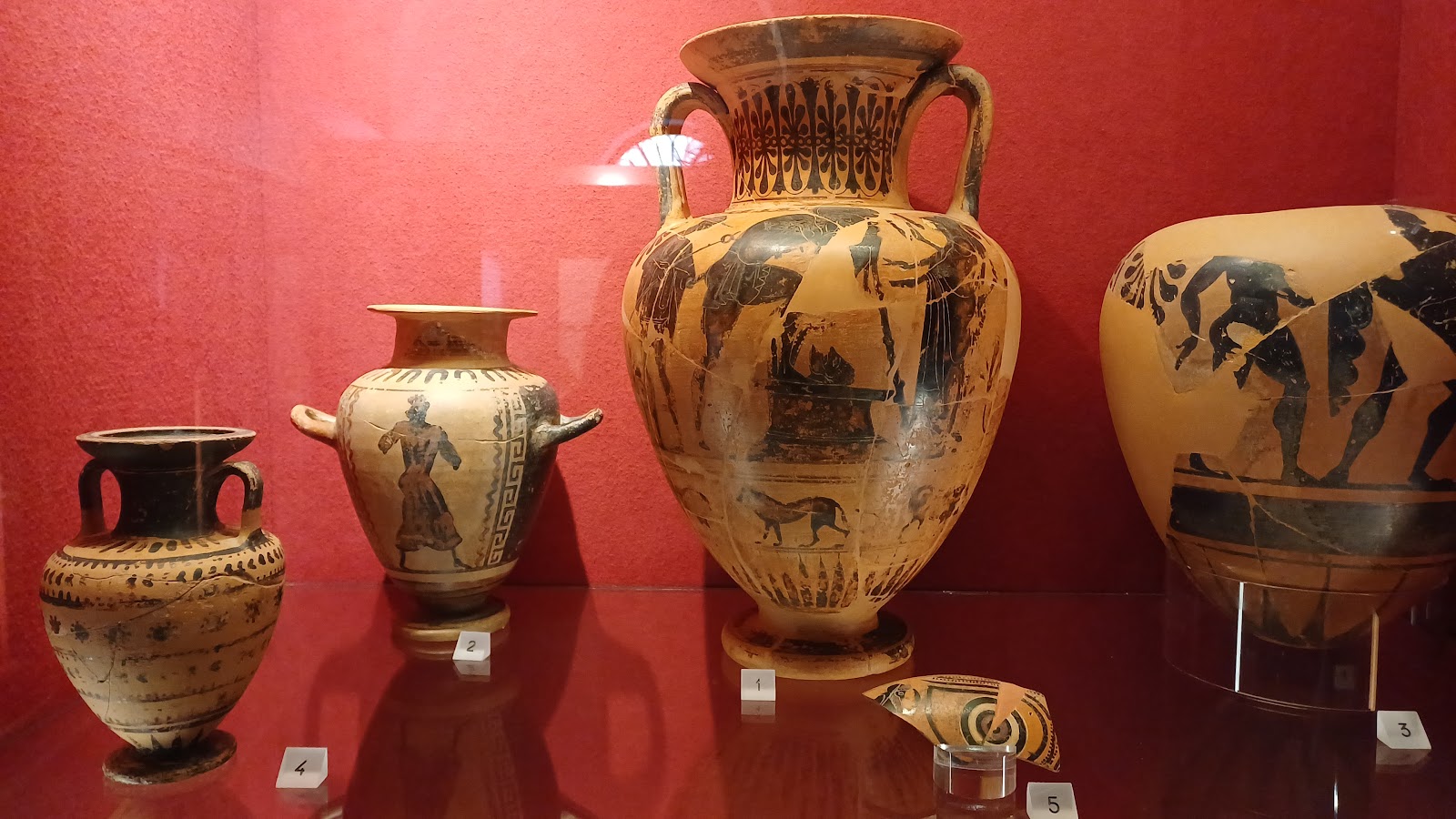 Museo Archeologico e d'Arte della Maremma