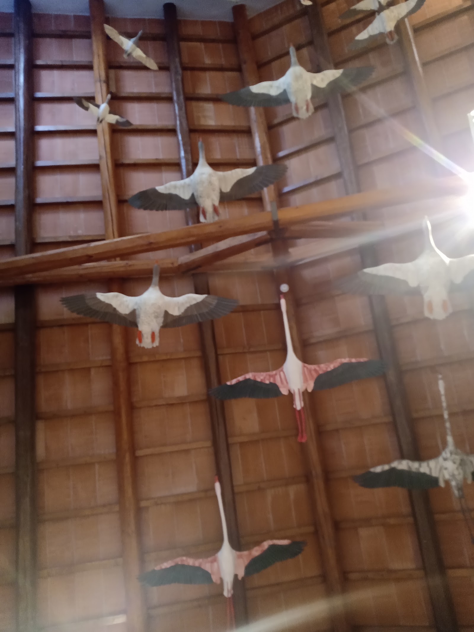 Museo di Storia Naturale della Maremma